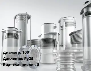 Компенсатор 100 Ру25 сальниковый